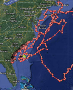sharktracker
